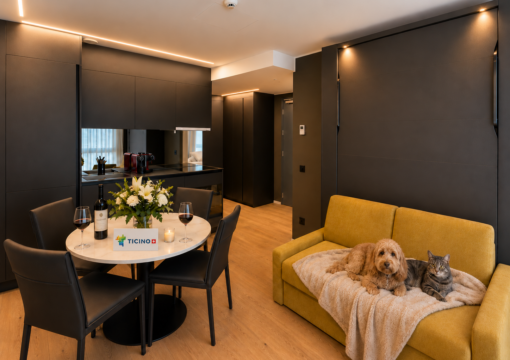 Mirror Suite