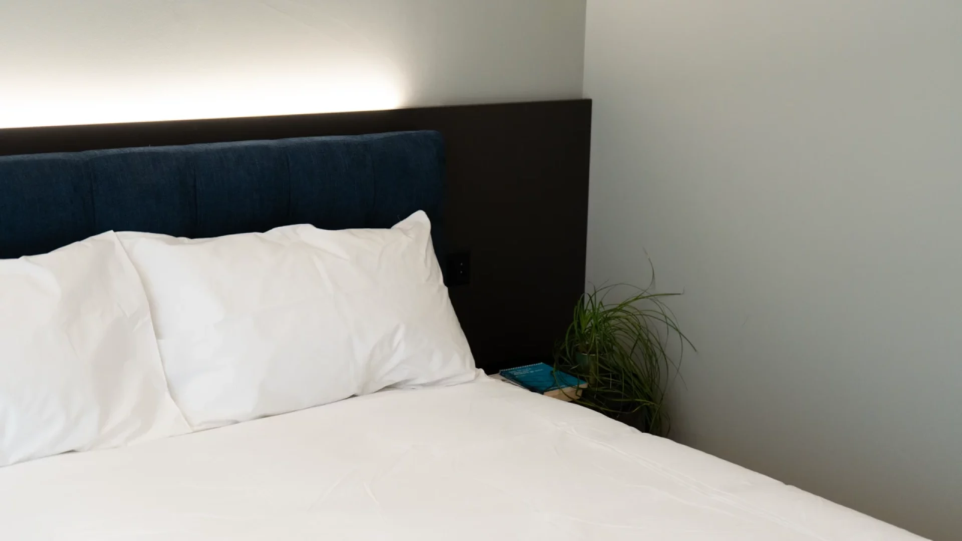 Corner Suite